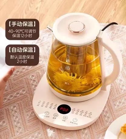 什么品牌的养生壶质量最好?