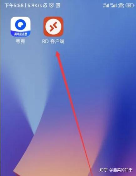 rd客户端中文版官网