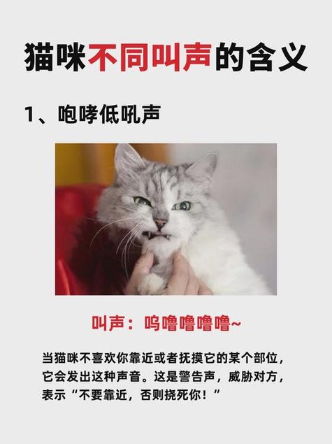 网络用语咕噜咕噜的意思