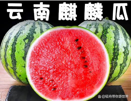 西瓜视频极速版赚钱下载安装