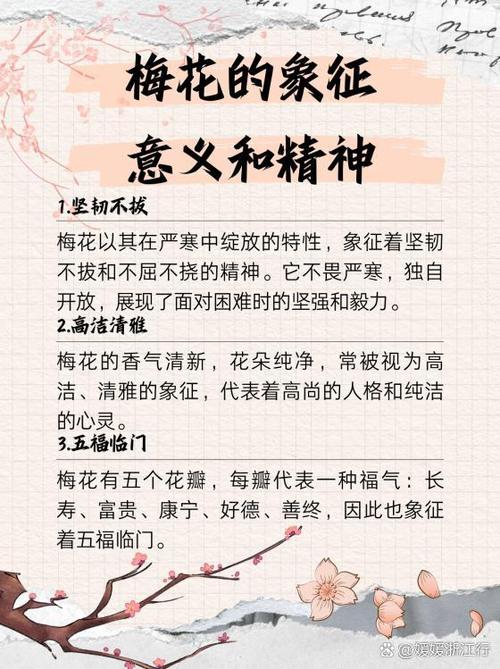 梅花的寓意和象征