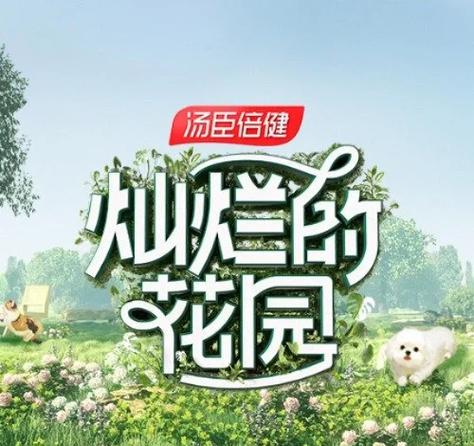 综艺节目推荐