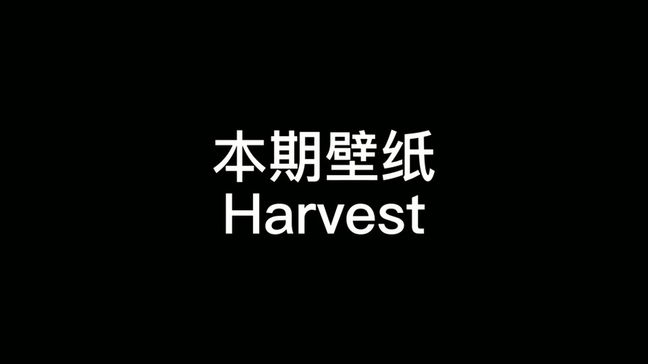 wallpaper鼠标跟随