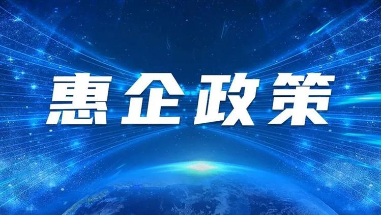 苹果相册视频能倍速播放吗