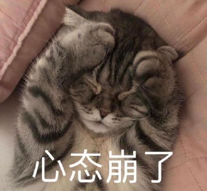 心态崩了表情包