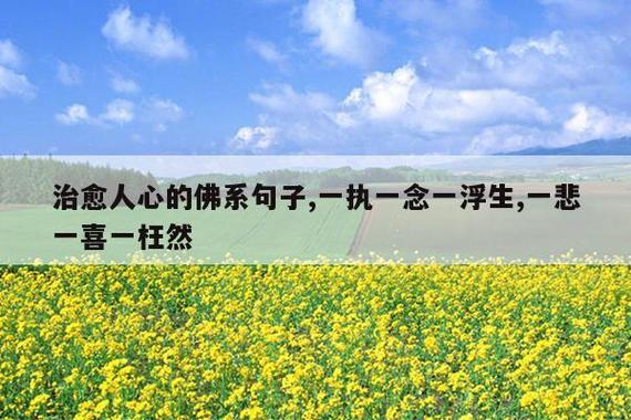 “一执一念一浮生,一悲一喜一枉然”
