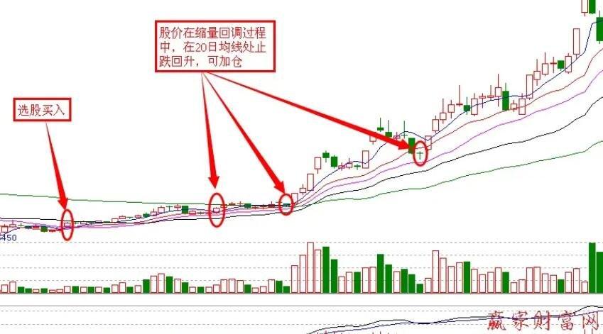 20日均线什么意思
