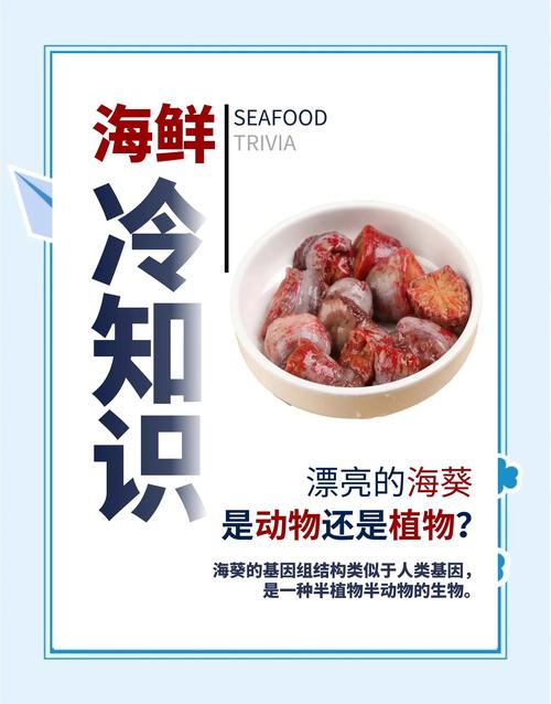 几斤虾晒出1斤海米