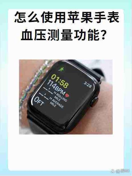 苹果手表怎么测血压和心率