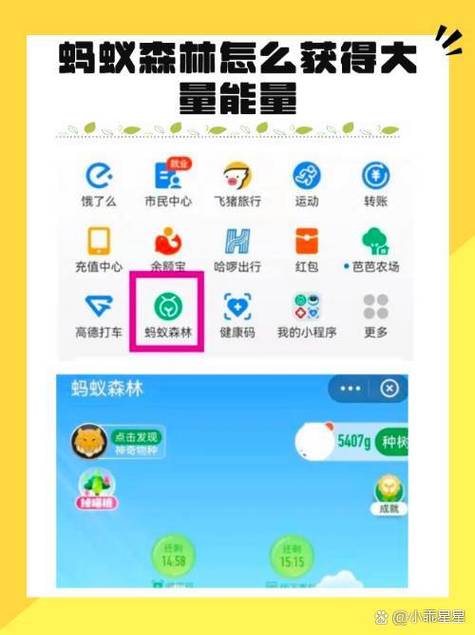 支付宝蚂蚁森林20g能量怎么来的