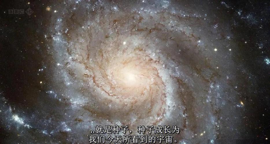 万物与虚无 怎么样