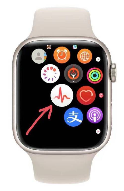 苹果手表可以打电话吗可以接电话吗