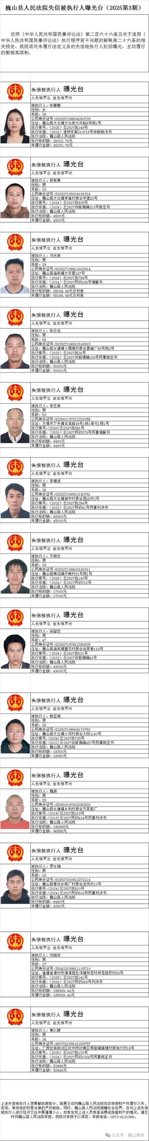 被执行人姓名查询