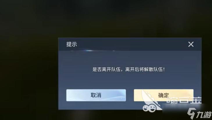 王者荣耀显示无法加入队伍