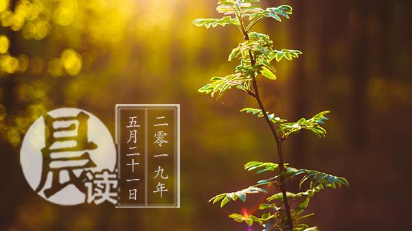 oppo手机每天早上自动播放新闻
