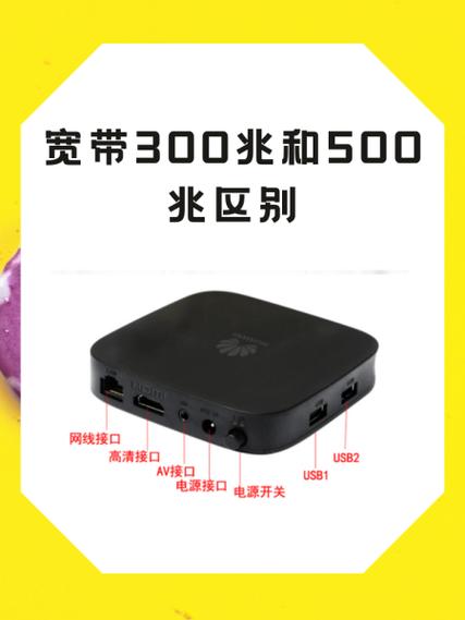 宽带装300兆还是500兆
