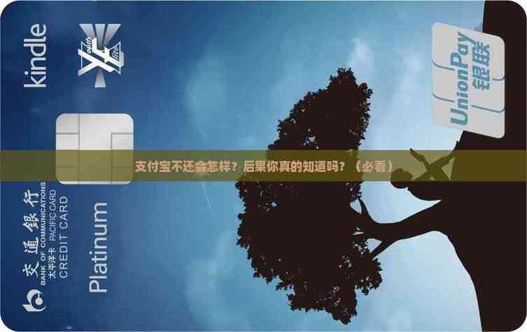 支付宝不还有什么后果