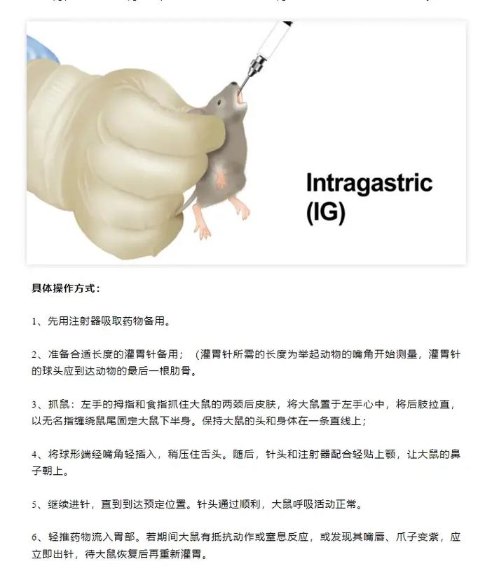 松鼠药物扑杀方法