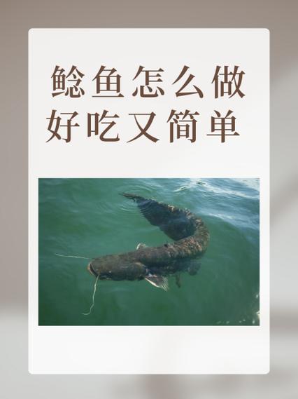鲶鱼怎么做好吃又简单