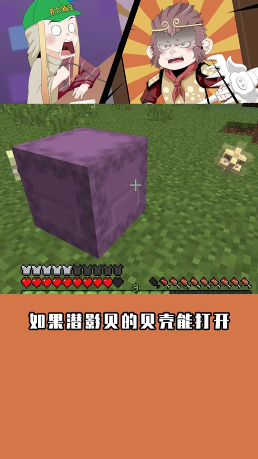 潜影壳的英文