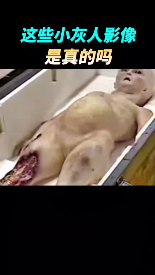 时而小灰人时而有头像