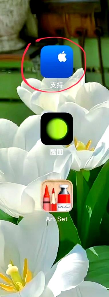 ipad电池健康度怎么查