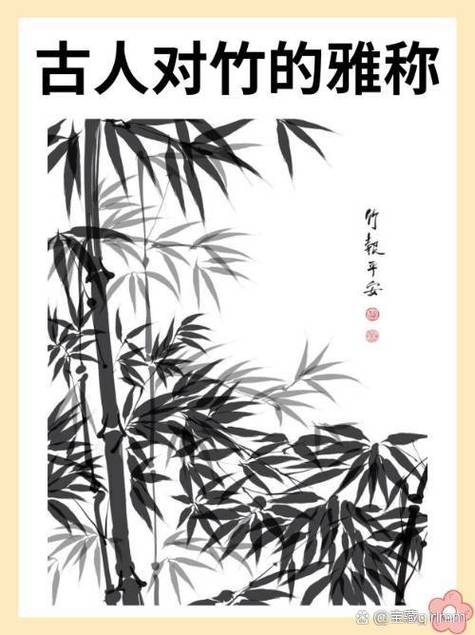 竹子的所有雅称