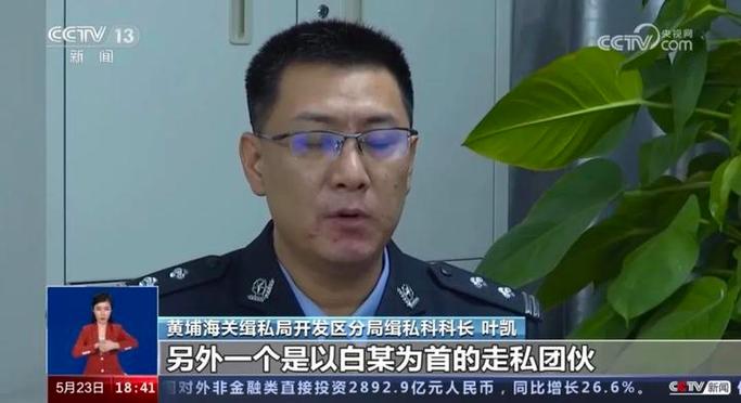 goodbrand老白有股份吗