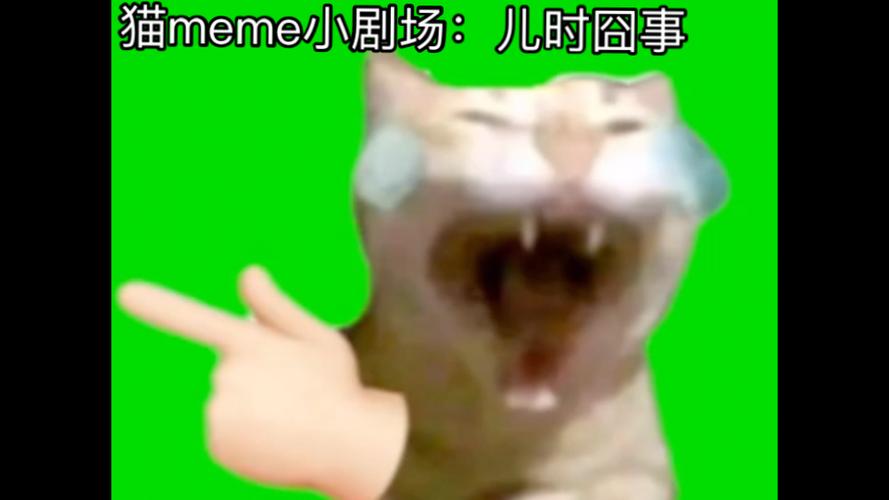 猫meme搞笑全集播放
