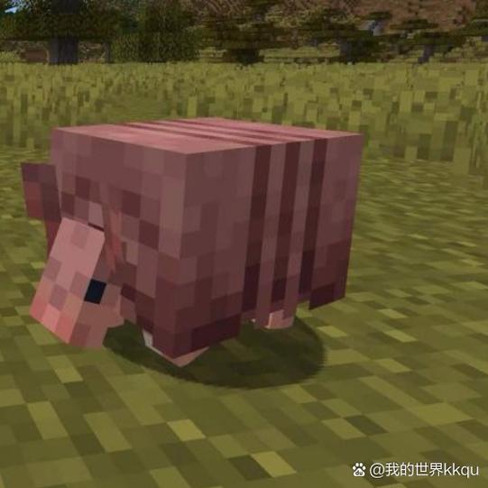 mc犰狳鳞片有什么用