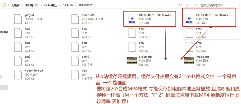 如何导出b站缓存视频