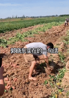 回家种田最经典十句话