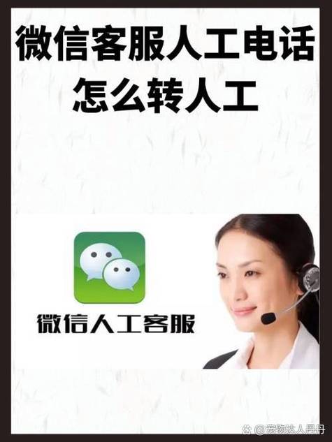 微信95017怎么转人工