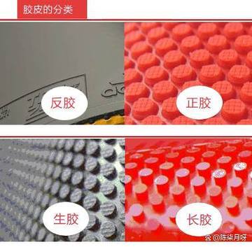 什么是正胶?反胶?长胶?