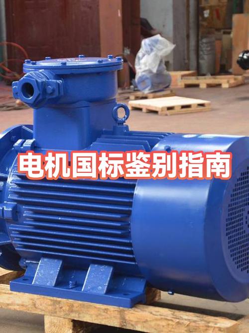 电机怎么看出是国标