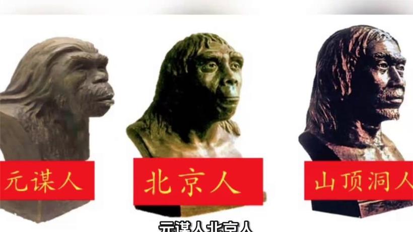 中国人的祖先是谁?