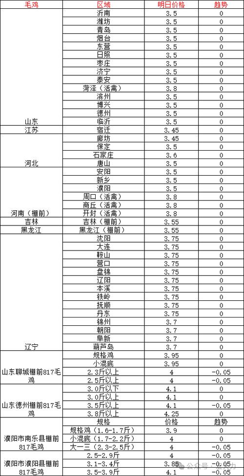 鸡价格 今日价格