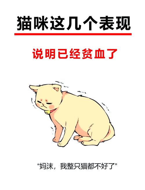 问道山猫一直带会得白血病吗