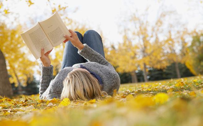 看书网