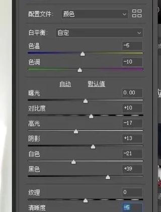 为什么ps调整颜色只有灰色