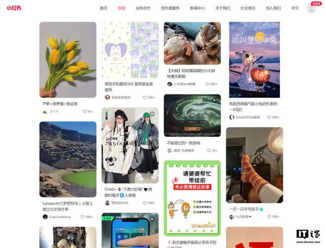小红书官网首页
