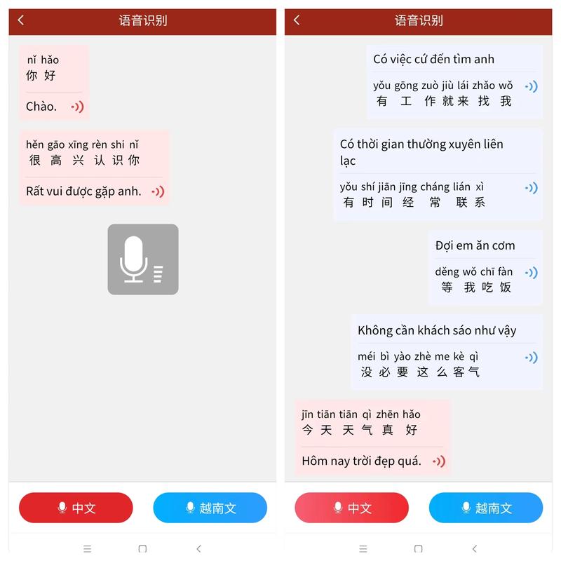 越南翻译中文转换器语音