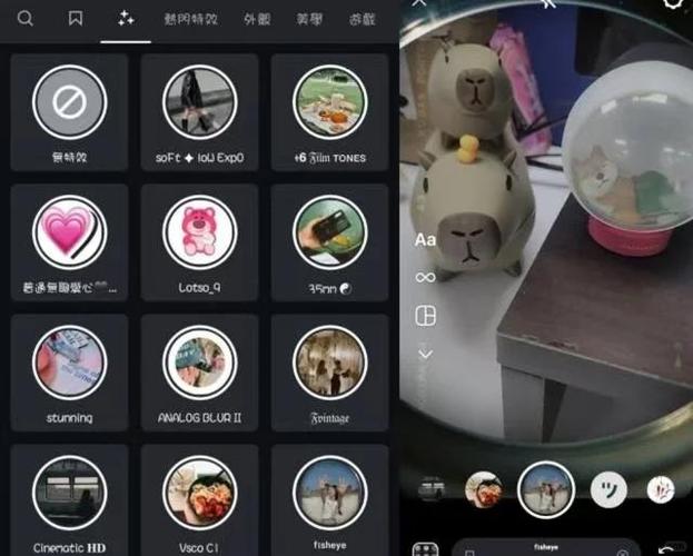 苹果手机自拍滤镜怎么调出来的
