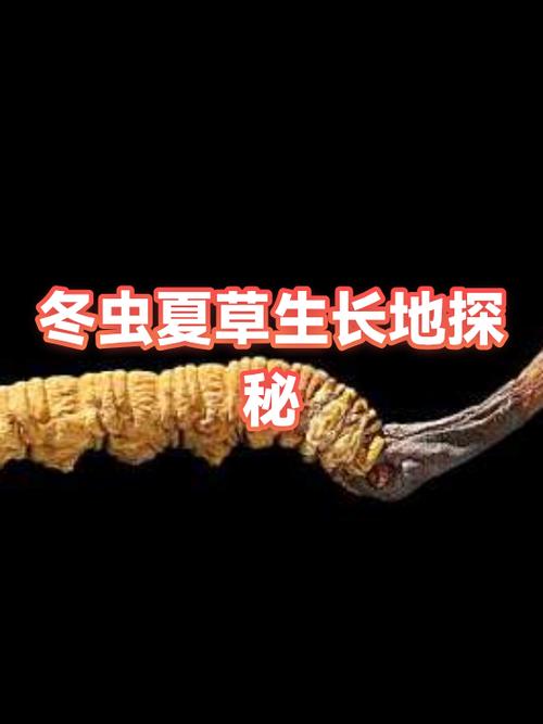 黑白草的功效与作用