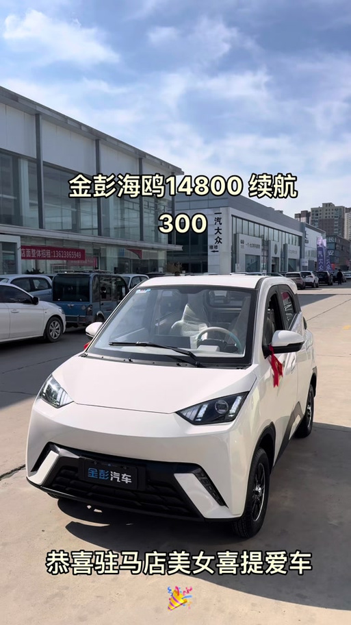金彭电动四轮车
