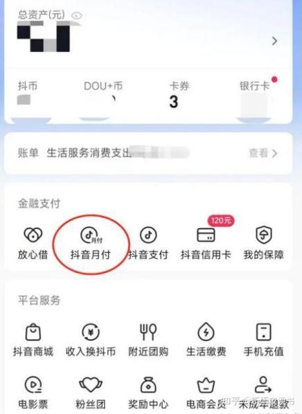 为啥征信上不显示抖音月付
