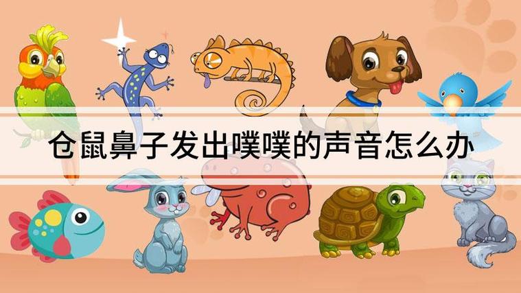 仓鼠鼻子发出噗噗声