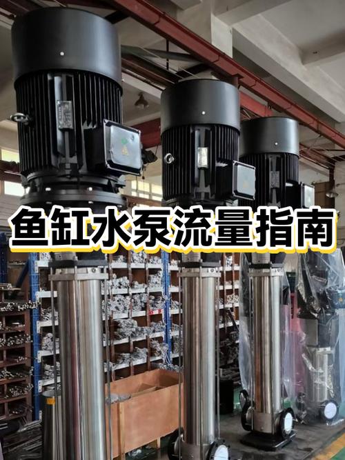 鱼缸水泵流量大了会出现什么情况