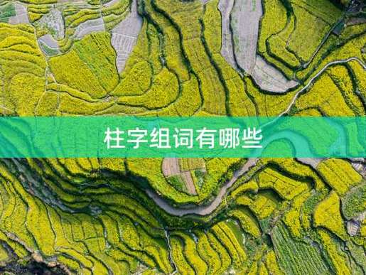 柱字加一笔有哪些字