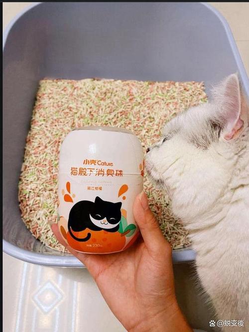 养猫屋里臭气熏天怎么去除